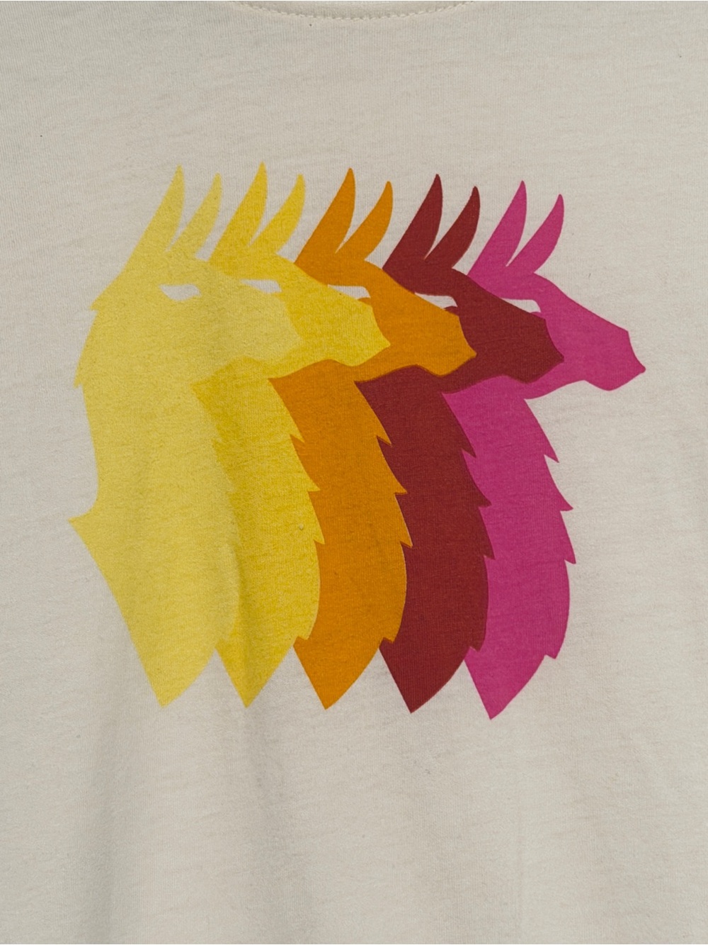 Cotopaxi Women’s M Llama Gradient Graphic Tee Cream